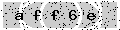 verify code