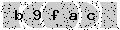 verify code