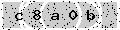 verify code