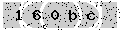verify code