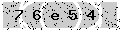 verify code
