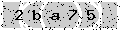 verify code