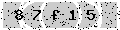 verify code