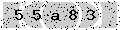 verify code