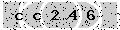 verify code