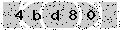 verify code