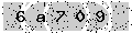 verify code