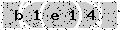 verify code