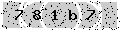 verify code