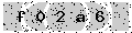 verify code