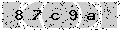 verify code