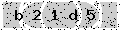 verify code