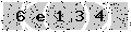 verify code