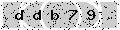 verify code