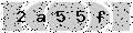 verify code