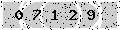 verify code