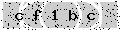 verify code
