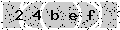 verify code