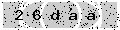 verify code
