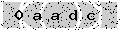 verify code