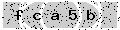 verify code