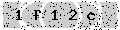 verify code