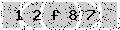 verify code