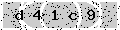 verify code