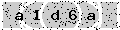 verify code
