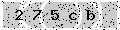 verify code