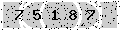 verify code