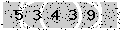 verify code