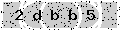 verify code