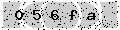 verify code