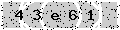 verify code