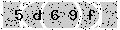 verify code