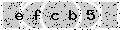 verify code