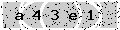 verify code