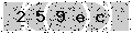 verify code