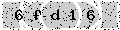 verify code