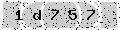 verify code