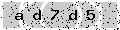 verify code