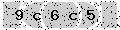 verify code