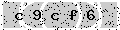 verify code