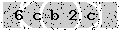 verify code