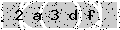 verify code