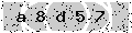 verify code