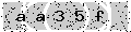 verify code