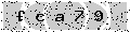 verify code