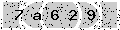 verify code